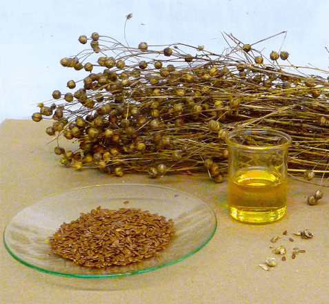 Leinöl Kaltgepresst BIO 9 kg
