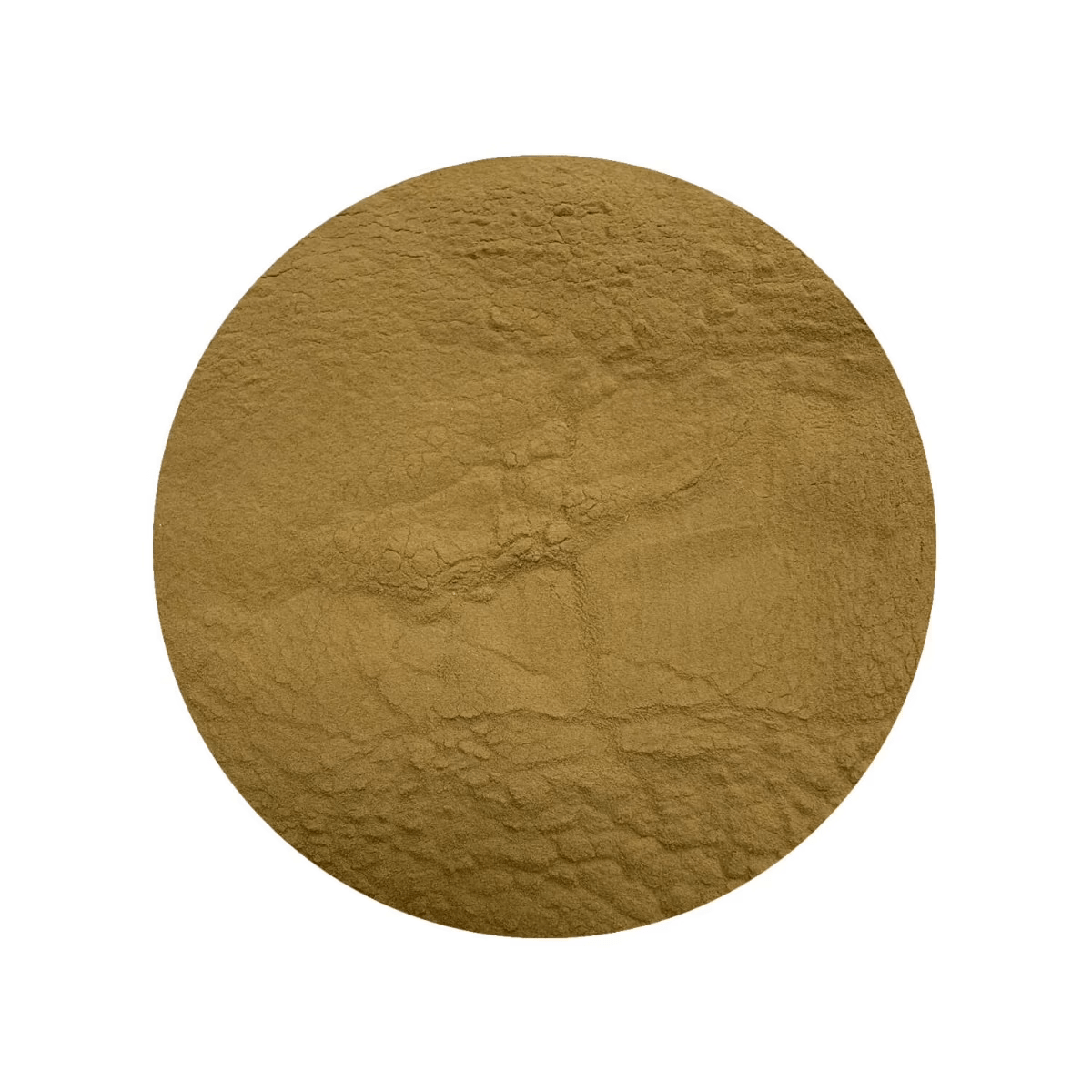 Pompom Pilz (Lions mane) Extrakt 30% BIO 100g